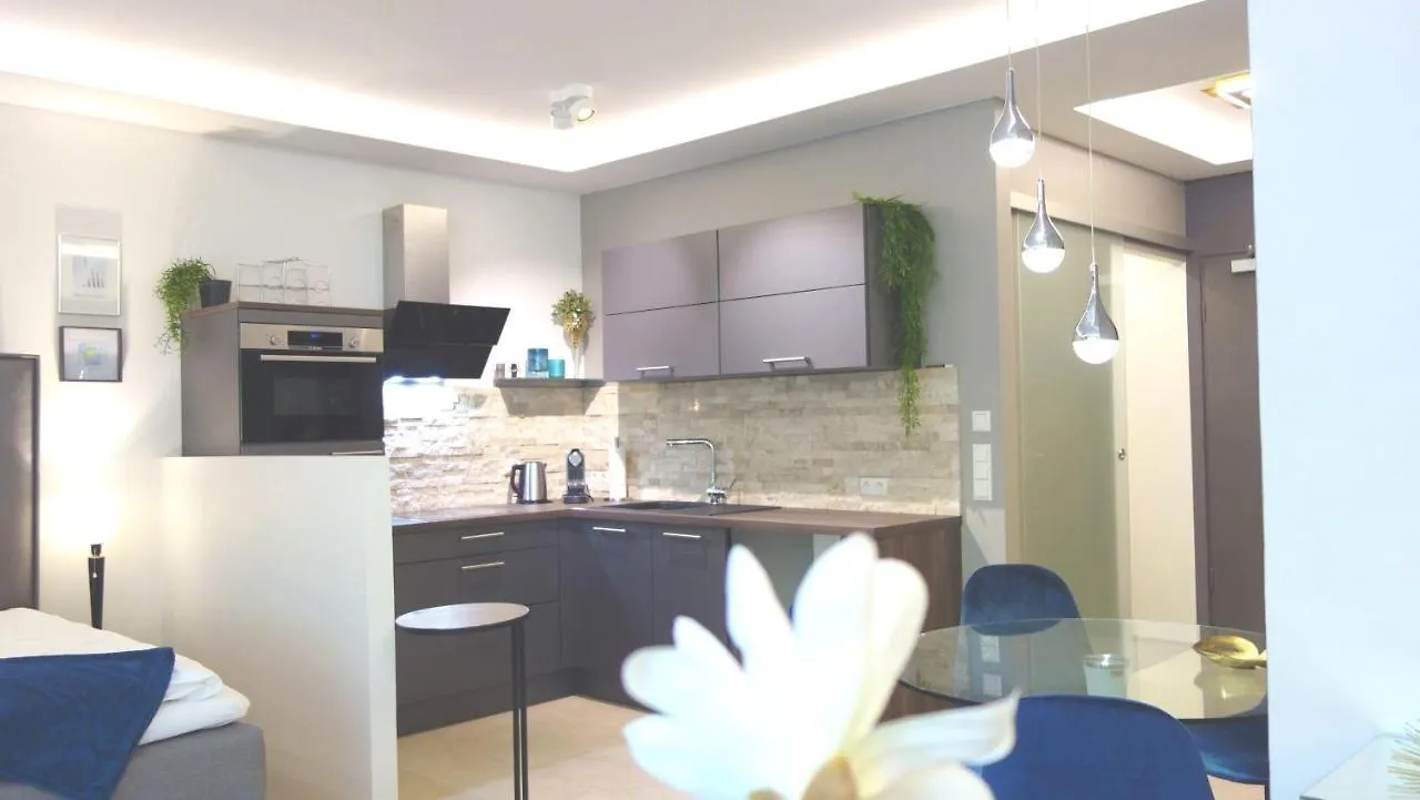 P1 Studio Apartment Munich